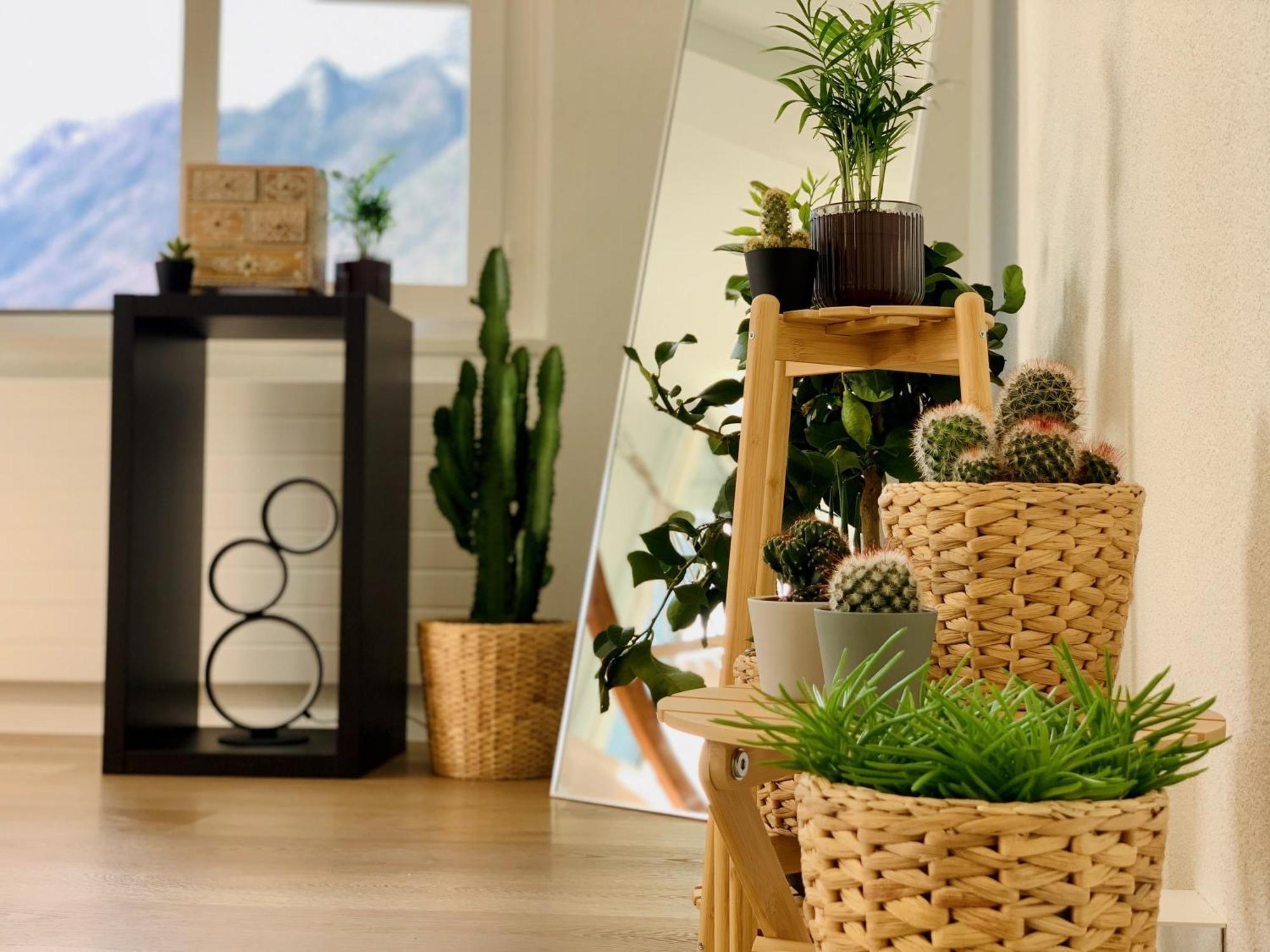 Eva O Wellnessoasis O Montainview O Pizzaoven O Apartment Ingenbohl Ngoại thất bức ảnh